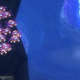 Screenshot: Nintendo